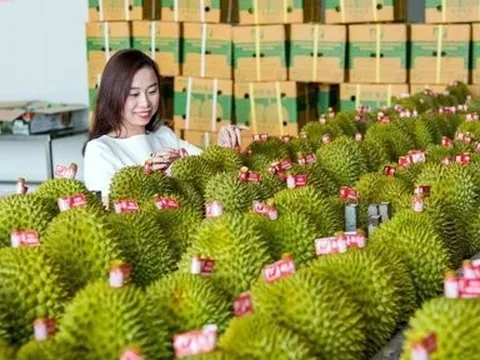 Xuất siêu nông lâm thủy sản tăng gần 97% trong quý I/2024