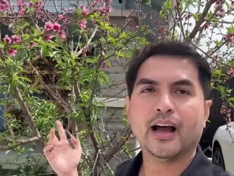 Người mẫu Đức Tiến khoe vườn nhà tại Mỹ: "Tôi có cả mai lẫn đào mà không được 500 tỷ như Trấn Thành"