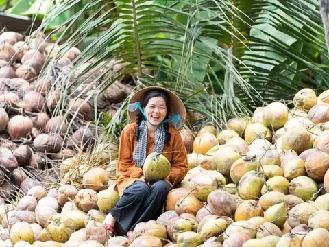 Tiềm năng các sản phẩm về ngành dừa trong năm 2024