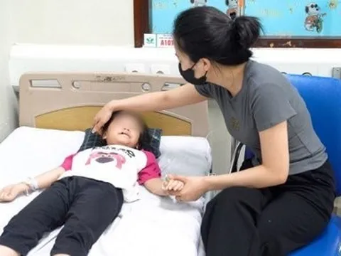 Bé gái 5 tuổi đang đi trên hè bị con chó 15kg tấn công vào mặt