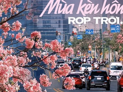 Mùa kèn hồng rợp trời Sài Gòn, chợt thấy thành phố mộng mơ biết bao giữa sắc hoa rực rỡ