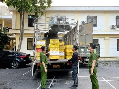 Thu giữ hơn 10.000 quả trứng gia cầm không rõ nguồn gốc