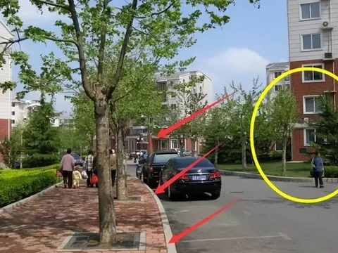 Mua nhà lần nữa không được chọn tầng thấp, đây không phải là khoe khoang mà là kinh nghiệm của những người đã từng sống ở đó