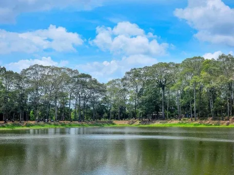 Một thành phố tại Việt Nam bất ngờ lọt top 3 "trong lành" nhất Đông Nam Á, biết lý do thì ai cũng đồng tình!