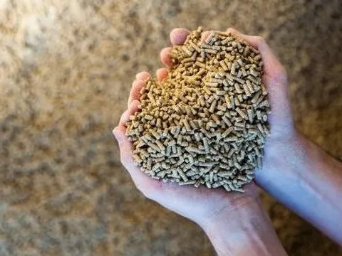 Đây là mặt hàng có bao nhiêu Trung Quốc thu mua bấy nhiêu: Việt Nam thu gần 150 triệu USD trong 2 tháng, Mỹ tăng nhập khẩu hơn 200%