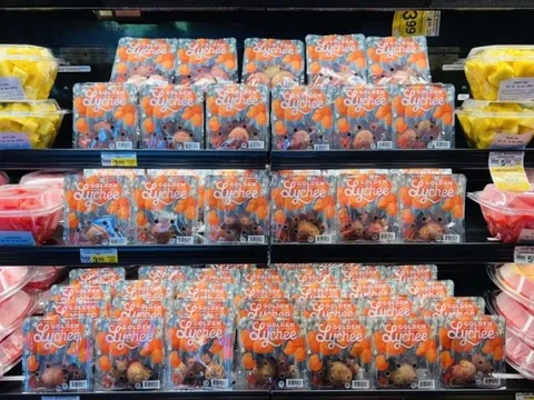 Giáo sư ĐH Harvard: “Người Mỹ hạnh phúc hơn khi được mua hàng từ Việt Nam”