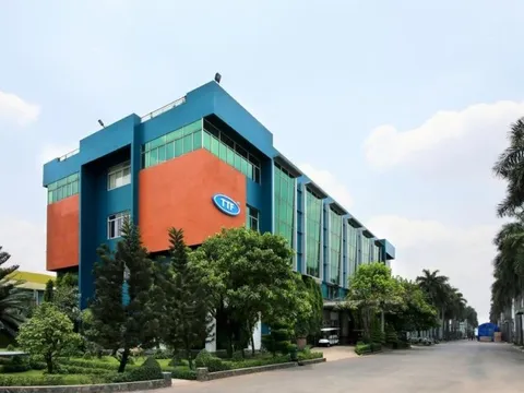 Lợi nhuận Gỗ Trường Thành "xoay" từ lãi sang lỗ sau kiểm toán