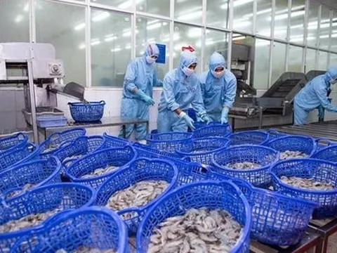 Sao Ta thu về khoảng 1.200 tỷ đồng trong quý I/2024