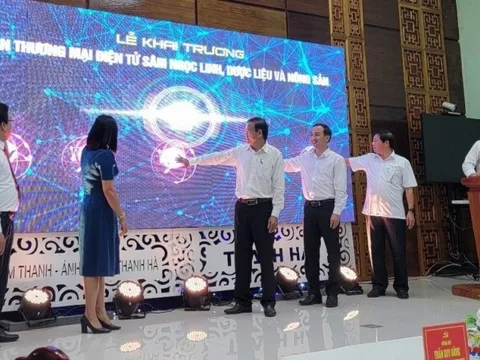 Quảng Nam: Đưa sâm Ngọc Linh lên sàn giao dịch điện tử
