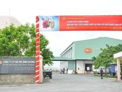 Cổ phiếu đầu tiên rời HoSE trong năm 2024 do lỗ 3 năm liên tiếp