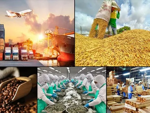 Bức tranh sáng nhất, xuất nhập khẩu năm 2024 dự báo đạt trên 790 tỷ USD