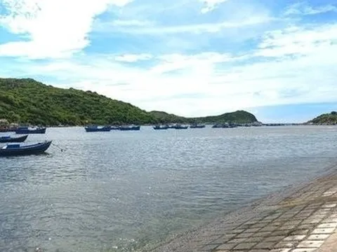 Ninh Thuận: Xử lý nghiêm các trường hợp sai phạm khu vực vịnh Vĩnh Hy