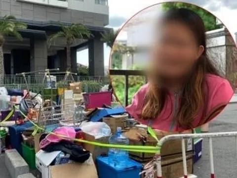 Vụ cô gái nuôi chó ở chung cư: 19 con chó đã có người nhận tạm nuôi