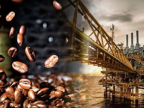 Dầu thô và đậu tương 'nóng rẫy', 5 công ty 'trùm' môi giới hàng hoá tại Việt Nam lộ diện