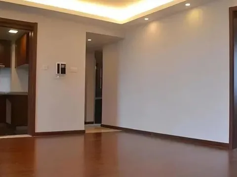 Khi mua chung cư, nên mua nhà xây thô hay đã có nội thất? Người đã thử cả 2 cho biết rất nhiều người đã chọn sai lầm