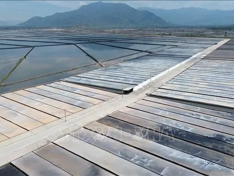 Các doanh nghiệp ứng dụng công nghệ cao sẽ được hưởng Quỹ Hỗ trợ đầu tư