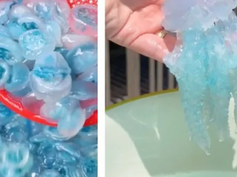 Con nuốc là con gì mà hôm nay lại xôn xao khắp MXH: Giá lên tới 200k/kg, từ món ăn độc lạ trở thành "cơn sốt" ẩm thực