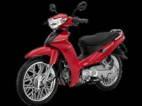 Giá xăng tăng cao ngất: 5 mẫu xe máy này được Cục Đăng kiểm xác nhận tiết kiệm xăng nhất Việt Nam