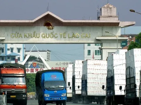 Sầu riêng Việt Nam 'soán ngôi' số 1 tại Trung Quốc