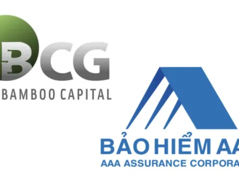2 sếp từ nhiệm trước thềm tham vọng của Bamboo Capital (BCG): Kế hoạch lợi nhuận gấp 26 lần đến năm 2028, đưa Bảo hiểm AAA lên sàn