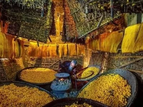 Một mặt hàng của Việt Nam được 3 cường quốc Mỹ - Trung - Nhật Bản ra sức 'tranh giành': thu về hơn 5 tỷ USD trong 2 tháng, Nga cũng tăng nhập khẩu gấp 2,5 lần