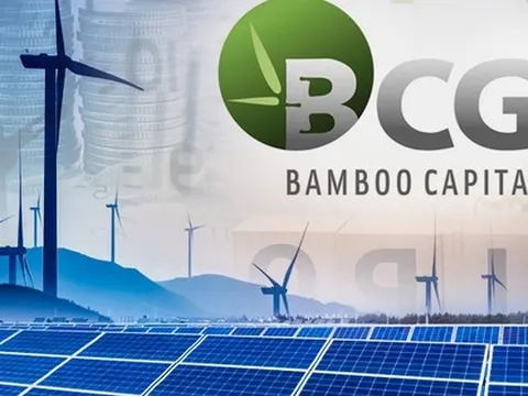 Tổng giám đốc mới của Bamboo Capital là ai?
