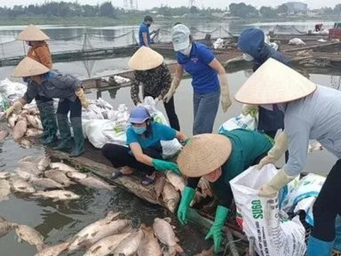 Hải Dương: Nông dân khóc ròng, xót xa tiền tỷ trôi sông