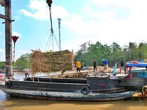 Tháo gỡ điểm nghẽn để ngành mía đường phát triển ổn định