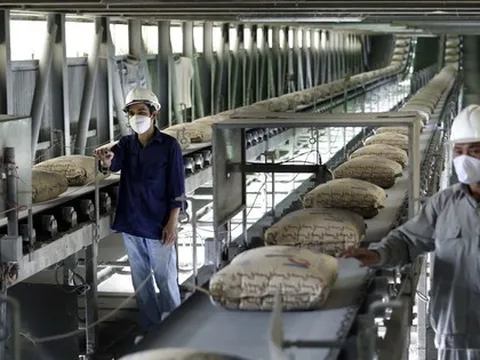 Hiệp hội Xi măng 'kêu cứu' Thủ tướng