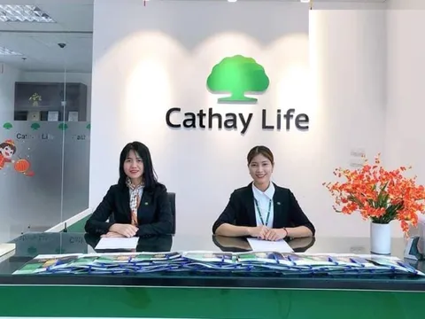 Một DN dành gần 20% tài sản cho cổ phiếu, rót hơn 5.000 tỷ vào HPG, MWG, TCB, ACB…, riêng PVD đầu tư từ 11,5 triệu lên 249 tỷ