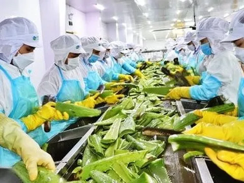 “Vua nha đam” đặt mục tiêu lợi nhuận tăng gấp đôi