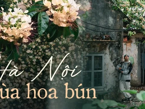 Loài hoa có tên cực lạ nhuộm vàng góc trời Hà Nội, nay bỗng thành điểm check-in cực "hot" của tháng 4