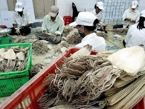 Xuất khẩu mực, bạch tuộc dự kiến giảm 2% trong quý I/2024