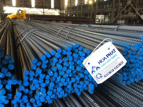 Chủ tịch Hoà Phát nói về tranh cãi điều tra chống bán phá giá thép