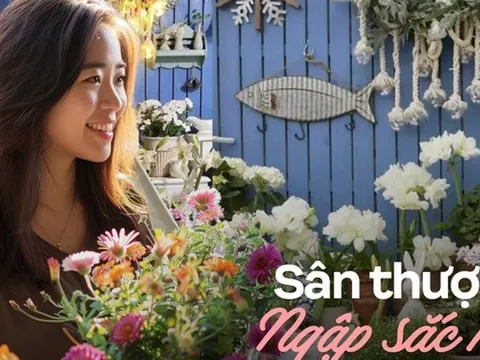 Khu vườn trên sân thượng "gây sốt": Cô giáo Tiếng Anh khẳng định không sai lầm khi chi tiền tỷ mua nhà mặt đất để có khuôn viên trồng hoa
