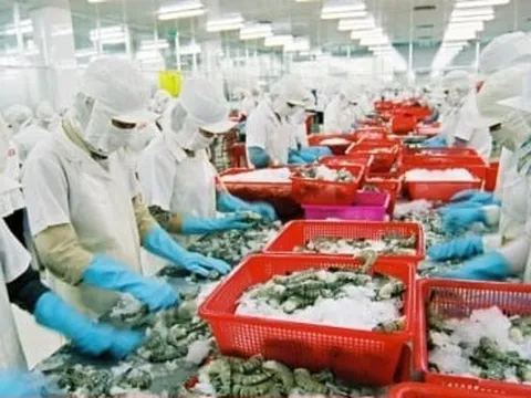 Các đại siêu thị ở Mỹ La tinh đang đến Việt Nam mua quần áo, giày dép, thực phẩm