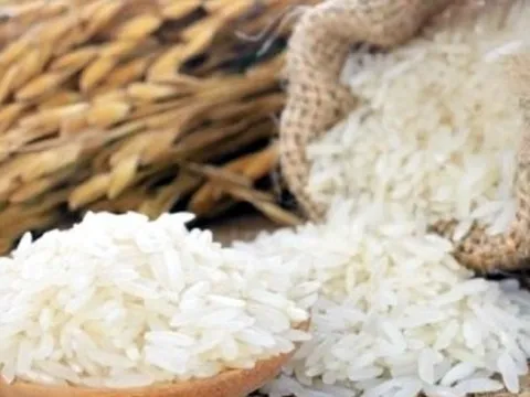 Gạo thơm ST24 và ST25 chưa được hưởng ưu đãi thuế xuất khẩu sang thị trường EU