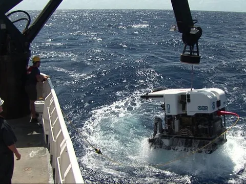 Việt Nam đang có kho báu biển khơi đứng thứ 28 thế giới, năm ngoái thu về gần 2 tỷ USD