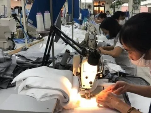 Kinh tế Việt Nam: Các động lực tăng trưởng, hồi phục vẫn chưa đồng đều