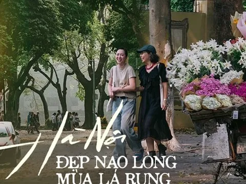 Hà Nội những ngày lá vàng rụng: Giữa hè mà ngỡ cuối thu, trời đất đẹp ngỡ ngàng chỉ có thể là "thích mê"