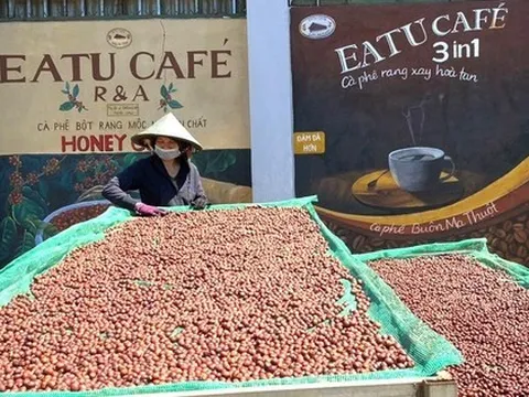 Động thái lạ của đơn vị chế biến khi giá cà phê tăng phi mã