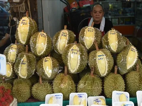 Thái Lan dự kiến xuất khẩu 1 triệu tấn sầu riêng trong năm nay