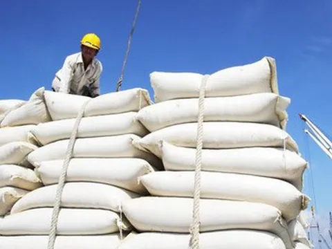 Giá gạo Ấn Độ chạm đáy của gần 3 tháng