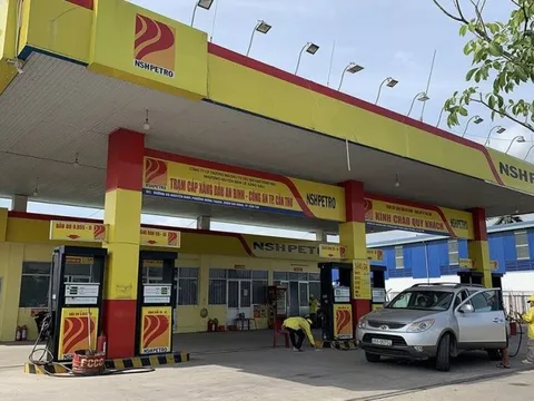 Dầu khí Nam Sông Hậu tiếp tục báo lỗ, tiền mặt chỉ hơn 16 tỷ đồng