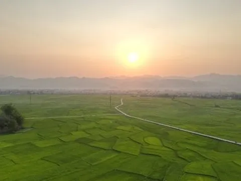 Tìm đường "lên đời" cho hạt gạo Mường Thanh