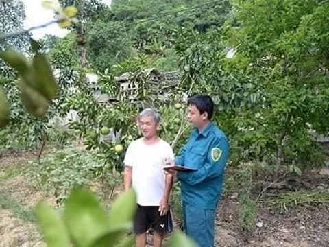 Trưởng thôn 9X ở Hà Tĩnh, vị “thuyền trưởng” của phong trào NTM