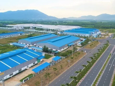 Kinh doanh tốt, dàn lãnh đạo Sonadezi Giang Điền nhận lương hậu hĩnh