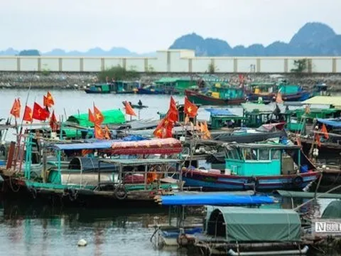 Yêu cầu doanh nghiệp cam kết “nói không với IUU"
