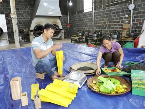 Tích cực triển khai dự án sinh kế, giúp người dân miền núi thoát nghèo