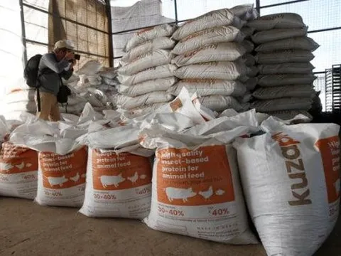 Trở thành ‘cứu tinh’ cho Trung Quốc, một mặt hàng của Việt Nam được các quốc gia châu Á săn lùng: Mỹ tăng nhập khẩu hơn 150%, sản lượng đứng thứ 8 thế giới